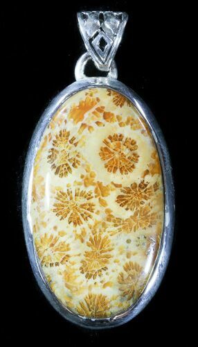 Million Year Old Fossil Coral Pendant - Sterling Silver #48486